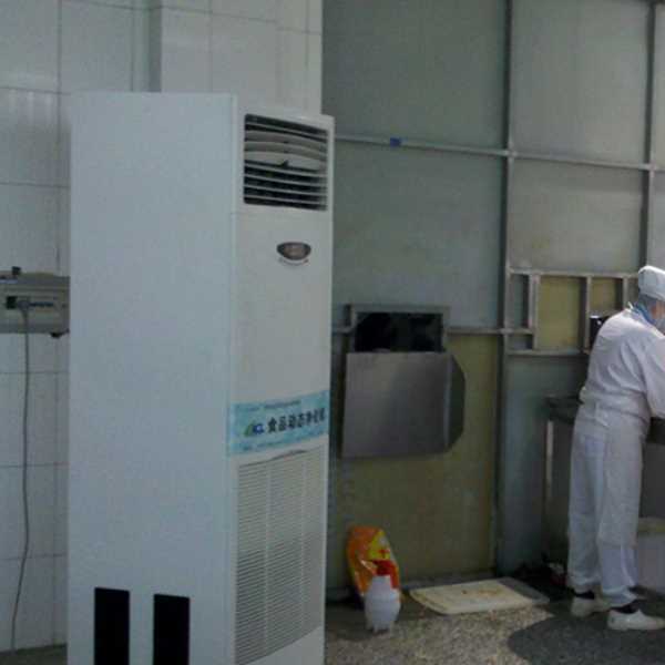 蓟县食品正负离子空气杀菌器